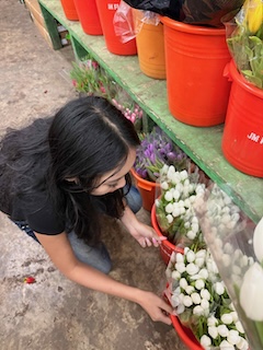Picking out flowers