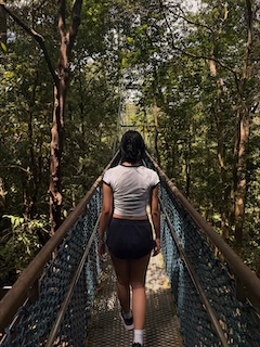 Above the trees and 8km on feet